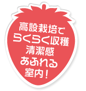 高設栽培でらくらく収穫。清潔感あふれる室内！